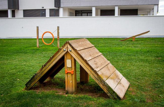 Zona para perros en Los Royales 1.