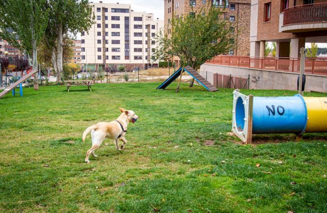 Zona para perros en la U25.
