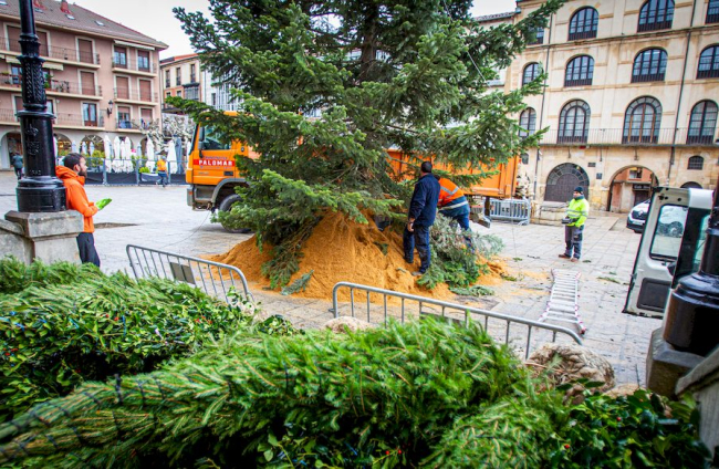 Instalación del arbol navideño en la Plaza mayor. MARIO  TEJEDOR (3)