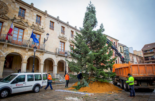 Instalación del arbol navideño en la Plaza mayor. MARIO TEJEDOR (4)