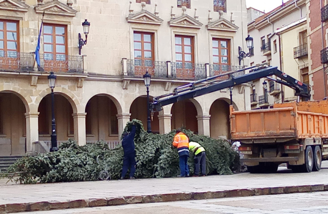 Instalación del arbol navideño en la Plaza mayor. MARIO  TEJEDOR (9)