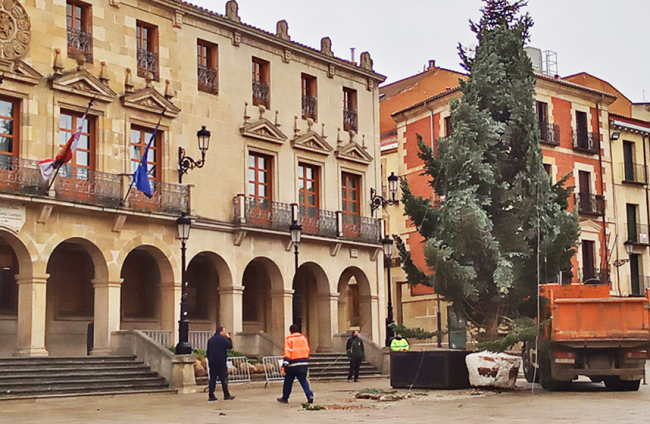 Instalación del arbol navideño en la Plaza mayor. MARIO TEJEDOR (10)
