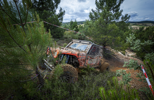 4x4 Iberian king - MARIO TEJEDOR (32)