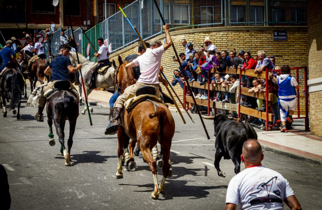 Tramo urbano y llegada de los toros - MARIO TEJEDOR (8)