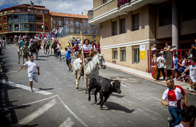 Tramo urbano y llegada de los toros - MARIO TEJEDOR (11)