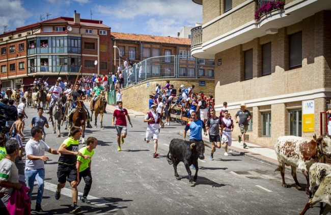 Tramo urbano y llegada de los toros - MARIO TEJEDOR (12)