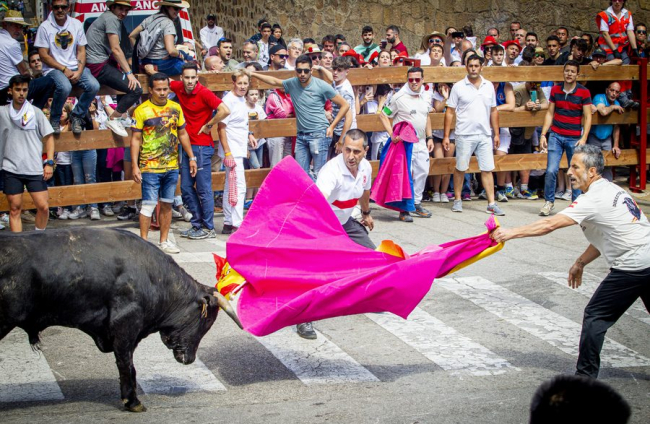 Tramo urbano y llegada de los toros - MARIO TEJEDOR (18)