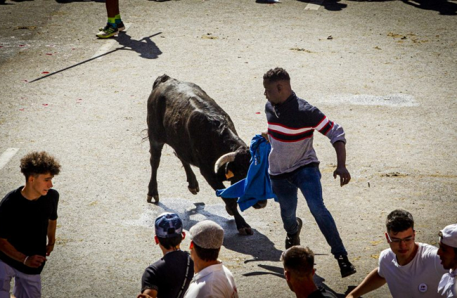Tramo urbano y llegada de los toros - MARIO TEJEDOR (35)