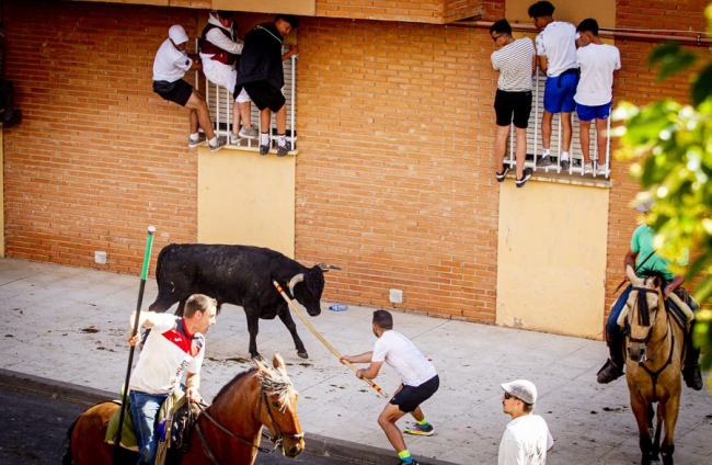 Tramo urbano y llegada de los toros - MARIO TEJEDOR (36)