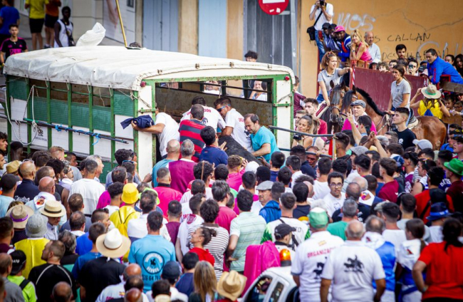 Tramo urbano y llegada de los toros - MARIO TEJEDOR (49)