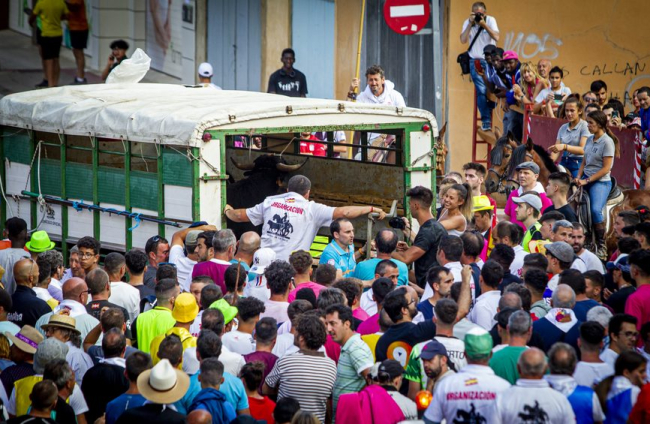 Tramo urbano y llegada de los toros - MARIO TEJEDOR (50)