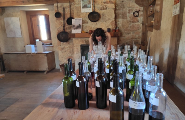 Concurso de Vino Artesanal de San Esteban. ANA HERNANDO