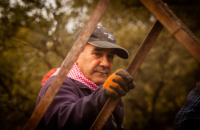 El Cisco en las Cuevas de Soria. MARIO TEJEDOR (52)