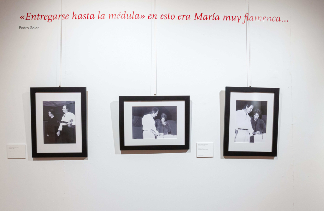 Exposición María Casares, Pedro Soler. Collioure 1989. MARIO TEJEDOR (13)