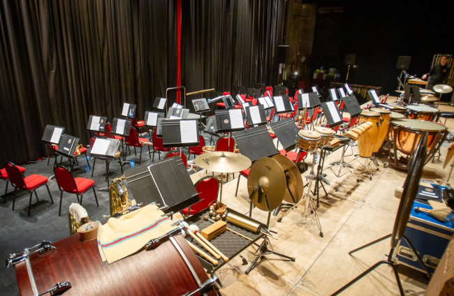Concierto didáctico de la Banda Municipal de Música. MARIO TEJEDOR (5)