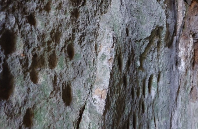 Los grabados prehistóricos son cazoletas y figuras humanas esquemáticas.