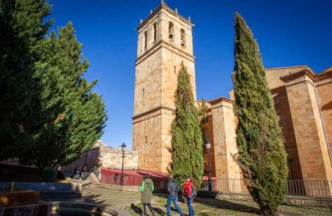 Concatedral de San Pedro. MARIO TEJEDOR (25)