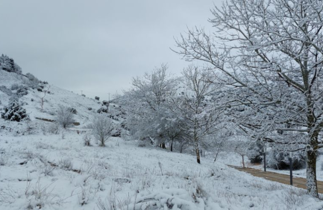 Paisaje por el Cerro de los Moros.