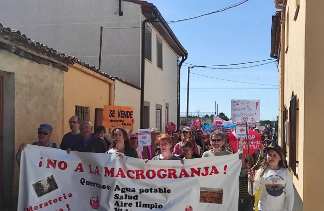 Protesta contra la instalación de una granja de 4.660 cerdos en Fuentearmegil. ANA HERNANDO