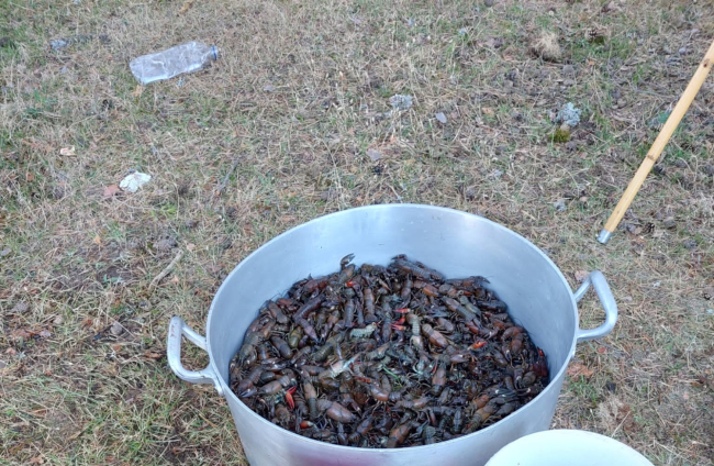 Duruelo de la Sierra celebró su primer Cangrejo Fest.