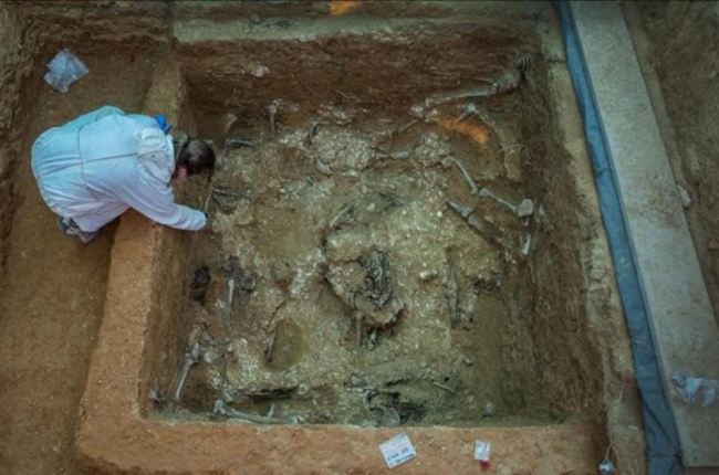 Restos de 60 fusilados de la represión franquista en una fosa común 113 del cementerio de Paterna (Valencia).-MIGUEL LORENZO