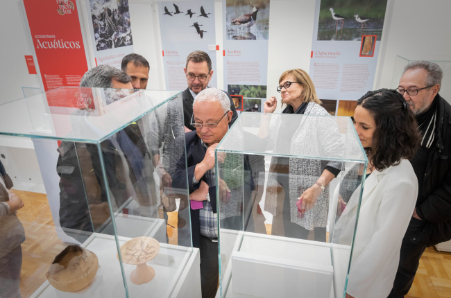 El consejero de Cultura, Gonzalo Santonja, visita la exposición del Museo Numantino. GONZALO MONTESEGURO