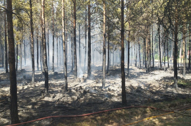 Superficie quemada en el incendio de Pinares. HDS