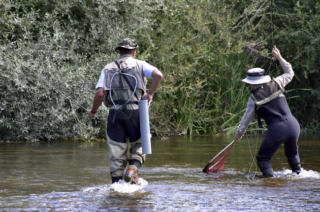 Uno de los participantes en el concurso de pesca del río Órbigo (León) cobra una pieza.-ICAL