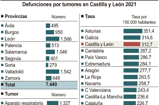 Defunciones por tumores en Castilla y León 2021.-ICAL