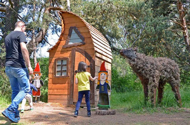 El bosque mágico de Fuente del Pino donde habitan hadas, gnomos y