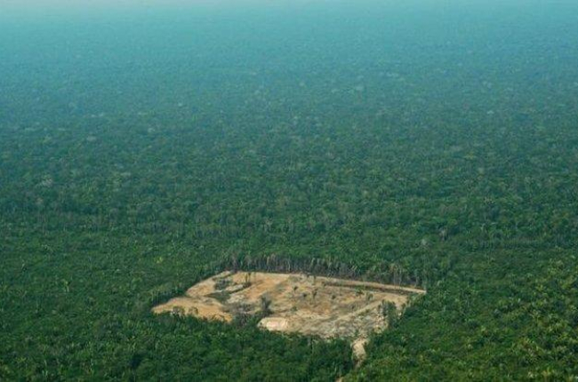 Deforestación por la tala ilegal en el Amazonas, en Brasil.-AFP