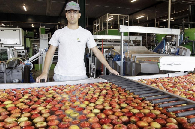 Rafael del Valle, responsable de almacén de Nufri, en la zona donde se clasifican las manzanas con visión artificial.-LUIS ÁNGEL TEJEDOR