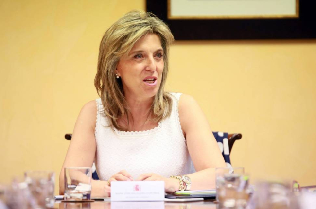 La delegada del Gobierno en Catilla y León, María José Salgueiro, preside la primera reunión de la Comisión Territorial de Asistencia al Delegado (CAD)-Ical