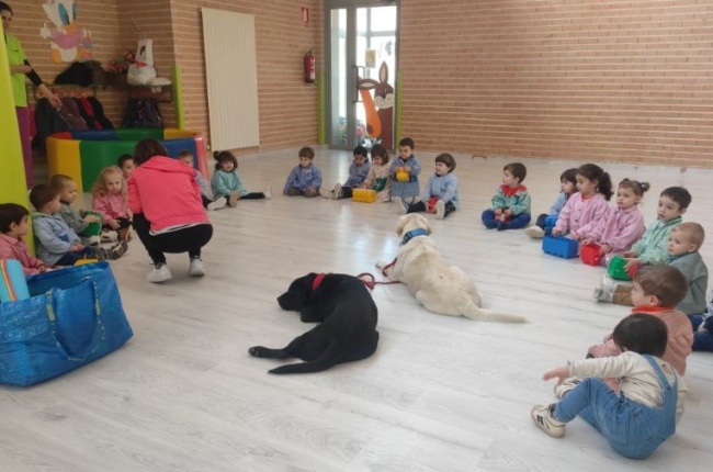 Sesión en el colegio La Alameda con dos perros.-A. HERNANDO