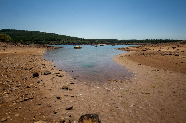 La sequía deja una estampa dramática en el embalse de la Cuerda del Pozo - MARIO TEJEDOR (3)