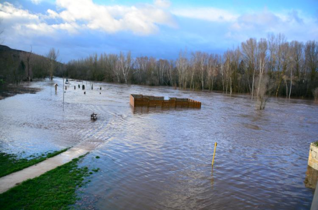 Rio Tera desbordado a su paso por Garray. SATUR LAFUENTE (8)