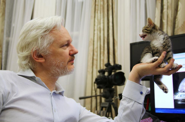 Julian Assange, con su nuevo compañero en la Embajada de Ecuador en Londres.-HANDOUT / REUTERS