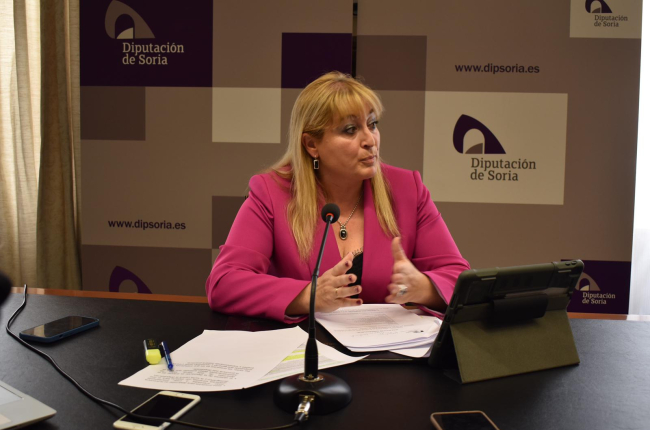 María José Jiménez, vicepresidenta de la Diputación de Soria. -HDS