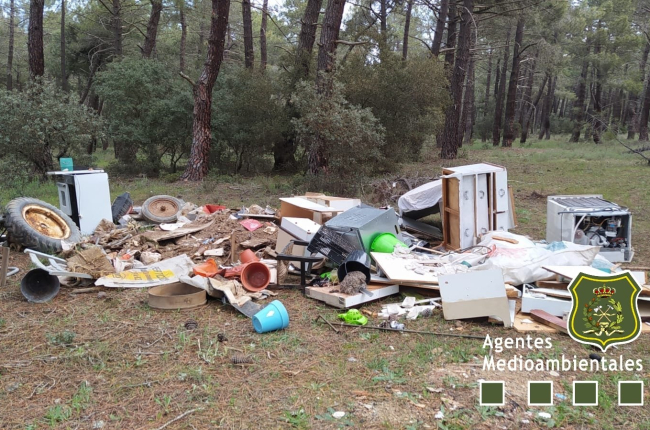 Estado en el que los agentes medioambientales encontraron el monte. HDS