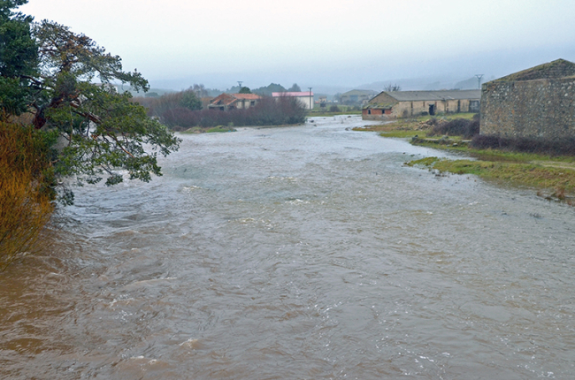Rio Triguera desbordado a su paso por Duruelo.-R.F.