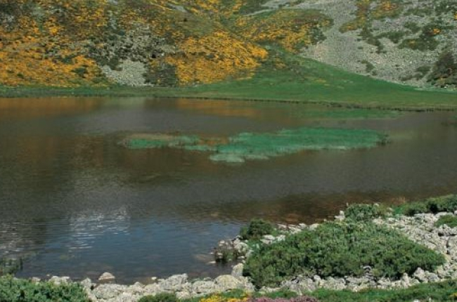 Laguna de Cebollera.-HDS