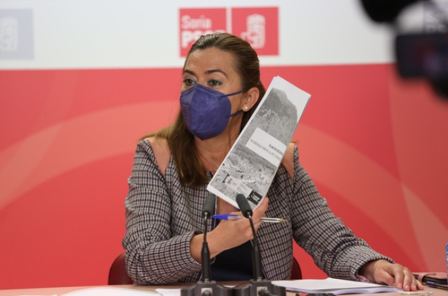 Virginia Barcones en su comparecencia. ICAL