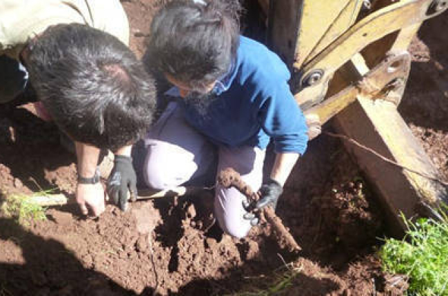 Los voluntarios sacan uno de los primeros huesos encontrados. / ASOCIACIÓN SORIANA RECUERDO Y DIGNIDAD-