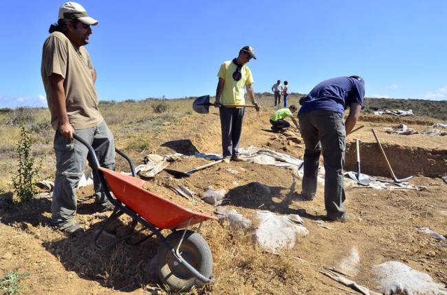 Imagen de los trabajos de excavación de Numancia de la campaña de 2012. / ÁLVARO MARTÍNEZ-
