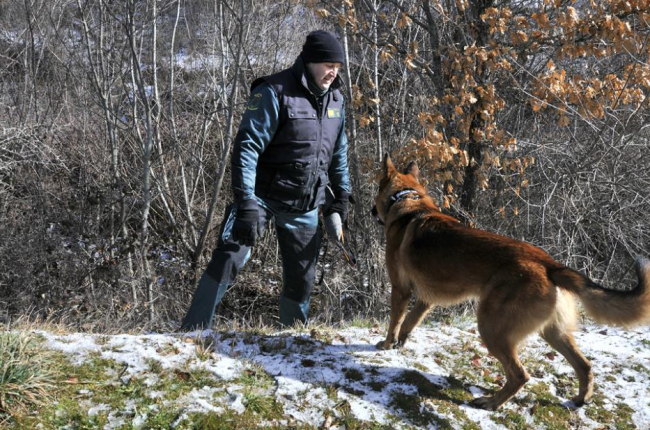 El perro de la Unidad Cinológica de la Guardia Civil junto a su guía durante las labores de búsqueda.-V.G.