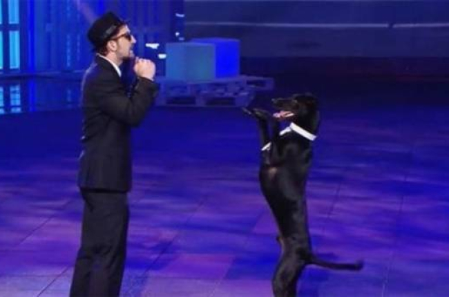 El perro Rocky, durante su actuación en la final de '¡Vaya fauna!'.-Foto: MEDIASET