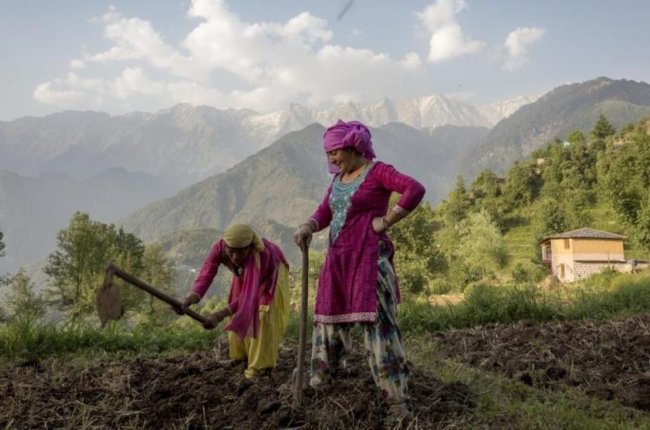 Unas mujeres laboran la tierra en la ciudad india de Dharmsala.-ASHWINI BHATIA (AP)