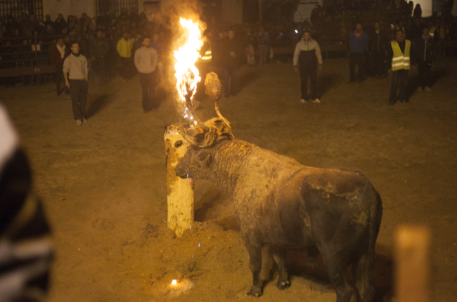 El toro con las bolas de fuego durante el festejo del Jubilo en Medinaceli (Soria).