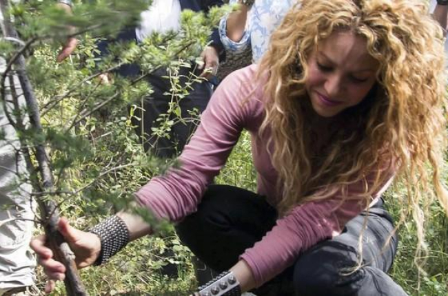 Shakira planta un árbol en la reserva de cedros de Tannurin, en Líbano. AP / ERICK DEEB-AP / ERICK DEEB