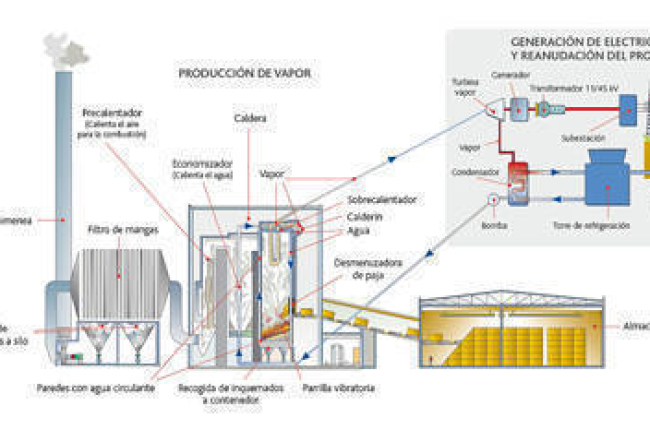 AlmazÁn La Planta De Biomasa De Acciona Supera La Declaración De Impacto Ambiental 6885